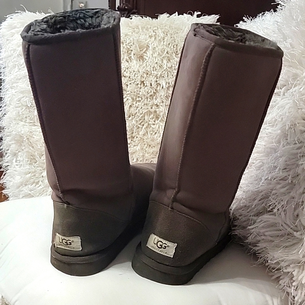 UGG Women's Dark Brown Winter Boots